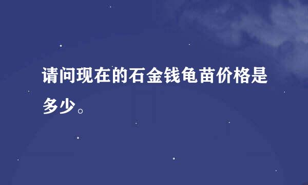 请问现在的石金钱龟苗价格是多少。