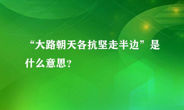 “大路朝天各抗坚走半边”是什么意思？