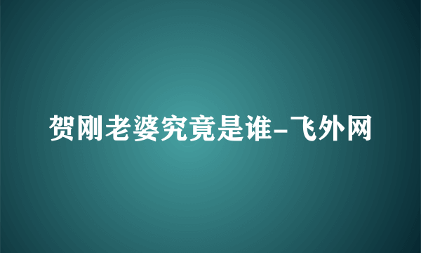 贺刚老婆究竟是谁-飞外网