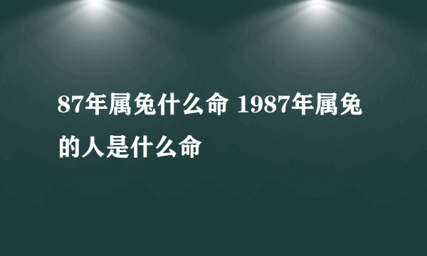 87年属兔什么命 1987年属兔的人是什么命