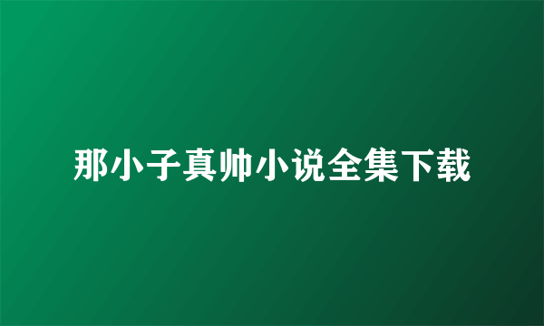 那小子真帅小说全集下载