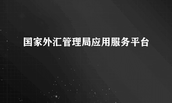 国家外汇管理局应用服务平台