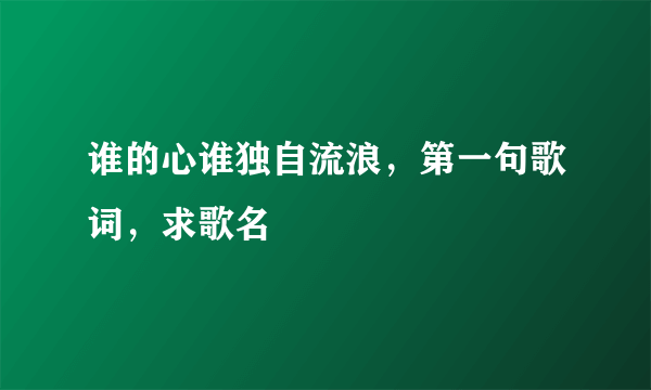 谁的心谁独自流浪，第一句歌词，求歌名