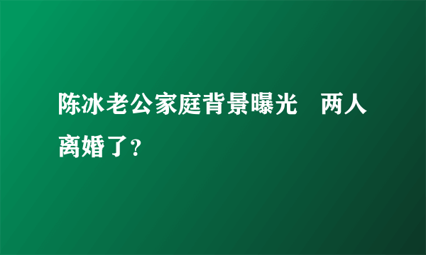 陈冰老公家庭背景曝光   两人离婚了？