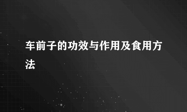 车前子的功效与作用及食用方法