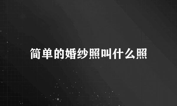 简单的婚纱照叫什么照