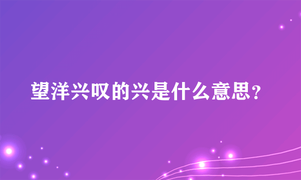 望洋兴叹的兴是什么意思？