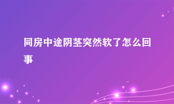 同房中途阴茎突然软了怎么回事