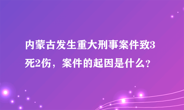 内蒙古发生重大刑事案件致3死2伤，案件的起因是什么？