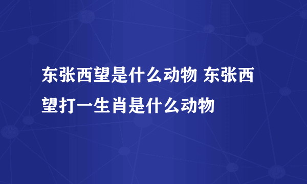 东张西望是什么动物 东张西望打一生肖是什么动物