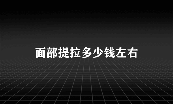 面部提拉多少钱左右