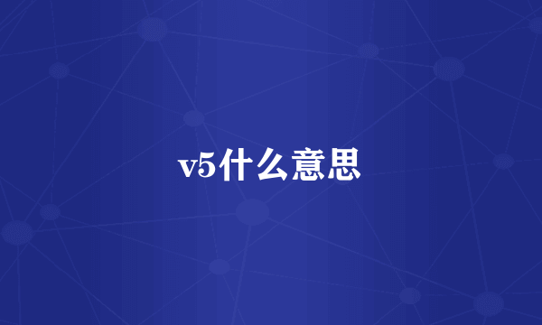 v5什么意思