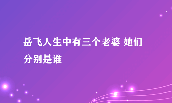 岳飞人生中有三个老婆 她们分别是谁