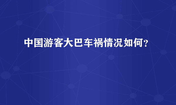 中国游客大巴车祸情况如何？