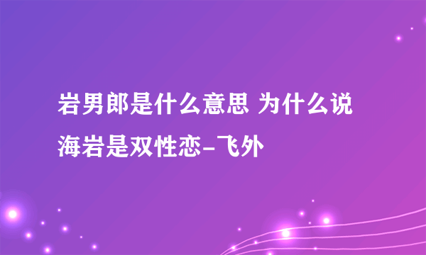 岩男郎是什么意思 为什么说海岩是双性恋-飞外