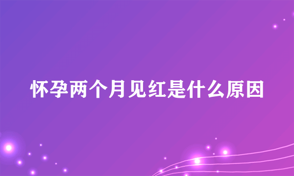 怀孕两个月见红是什么原因