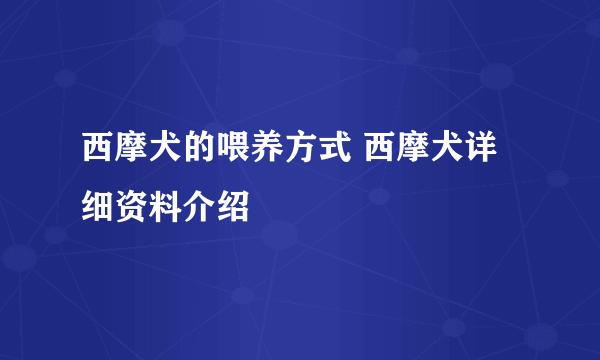 西摩犬的喂养方式 西摩犬详细资料介绍