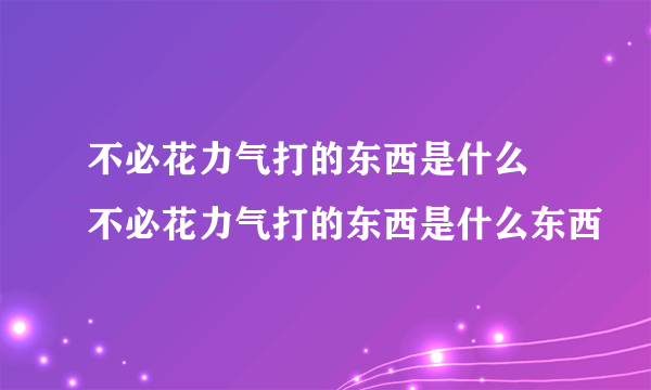 不必花力气打的东西是什么 不必花力气打的东西是什么东西