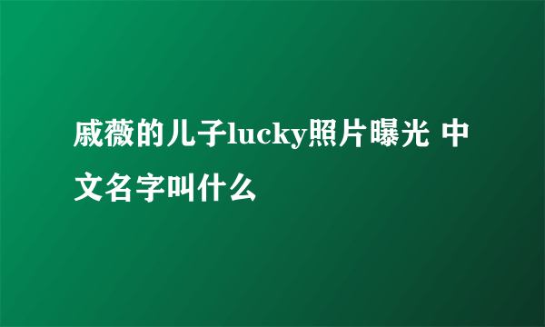 戚薇的儿子lucky照片曝光 中文名字叫什么