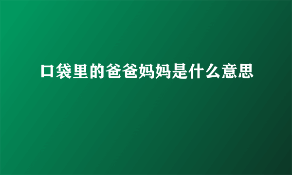 口袋里的爸爸妈妈是什么意思