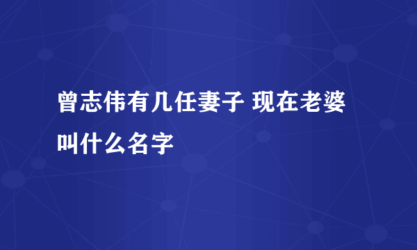 曾志伟有几任妻子 现在老婆叫什么名字