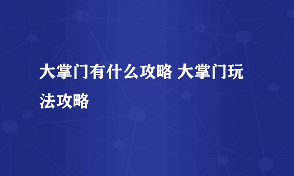 大掌门有什么攻略 大掌门玩法攻略