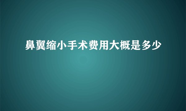 鼻翼缩小手术费用大概是多少