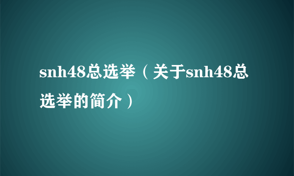 snh48总选举（关于snh48总选举的简介）