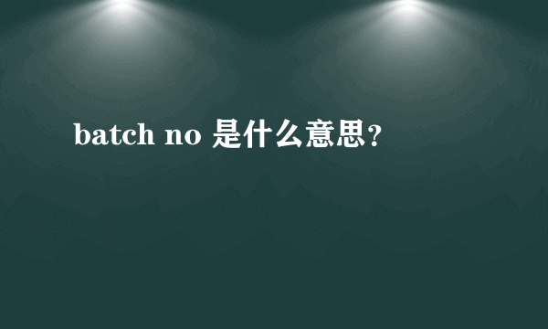 batch no 是什么意思？