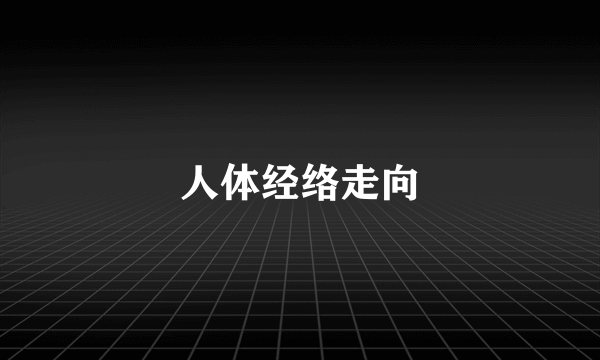 人体经络走向