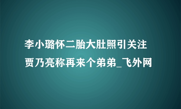 李小璐怀二胎大肚照引关注 贾乃亮称再来个弟弟_飞外网