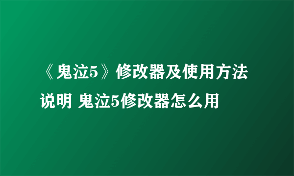 《鬼泣5》修改器及使用方法说明 鬼泣5修改器怎么用