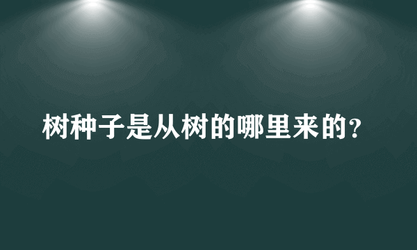 树种子是从树的哪里来的？