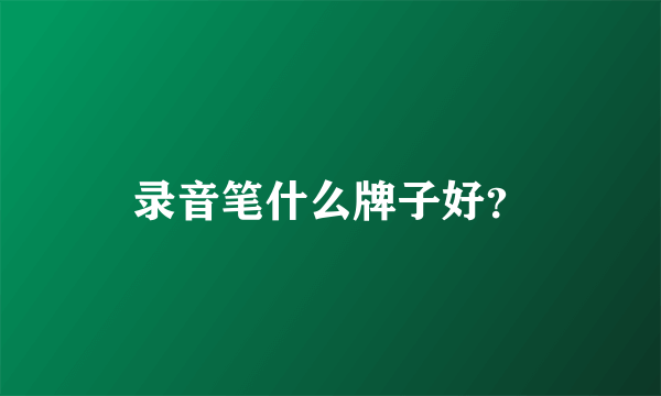 录音笔什么牌子好？