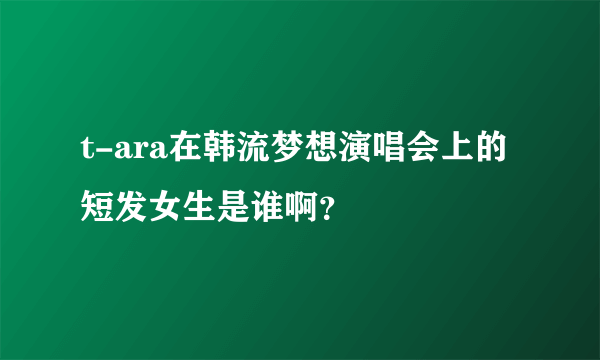 t-ara在韩流梦想演唱会上的短发女生是谁啊？