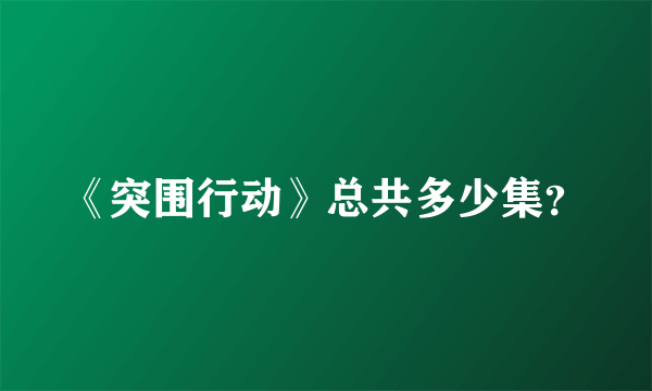 《突围行动》总共多少集？