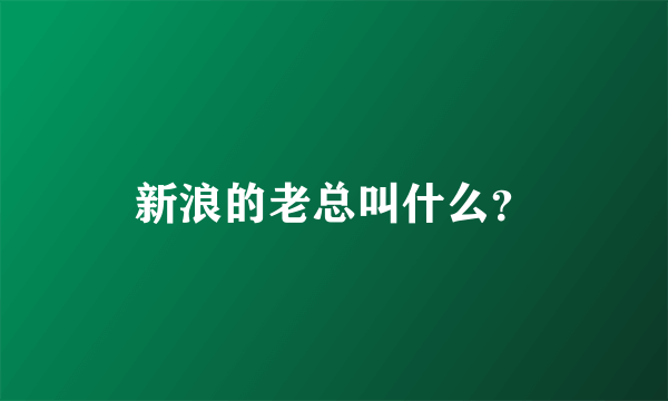 新浪的老总叫什么？