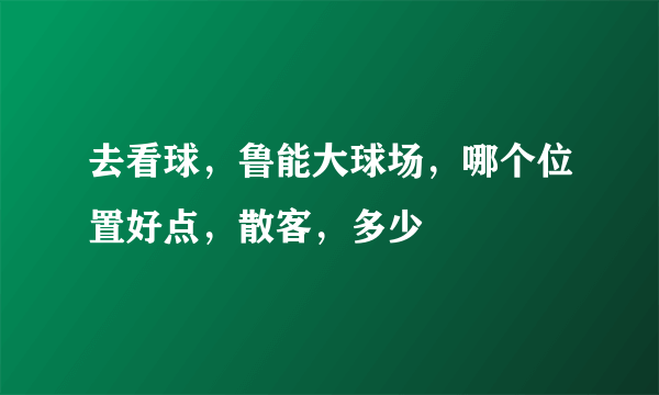 去看球，鲁能大球场，哪个位置好点，散客，多少