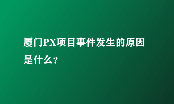 厦门PX项目事件发生的原因是什么？