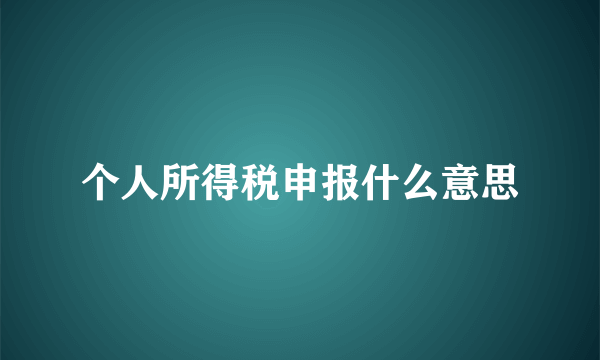 个人所得税申报什么意思