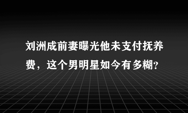 刘洲成前妻曝光他未支付抚养费，这个男明星如今有多糊？