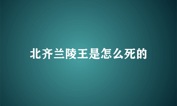 北齐兰陵王是怎么死的