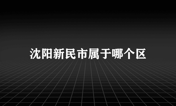 沈阳新民市属于哪个区