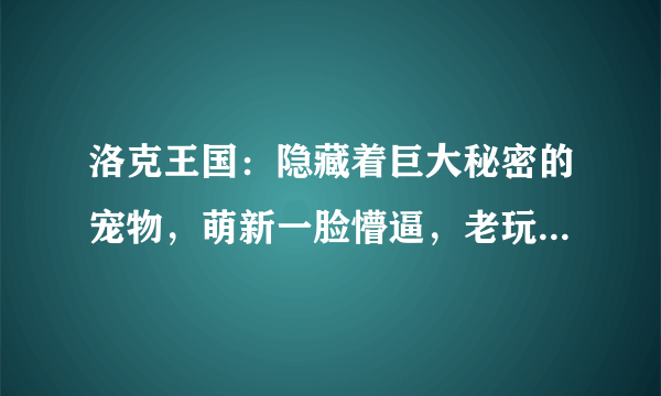 洛克王国：隐藏着巨大秘密的宠物，萌新一脸懵逼，老玩家一看秒懂