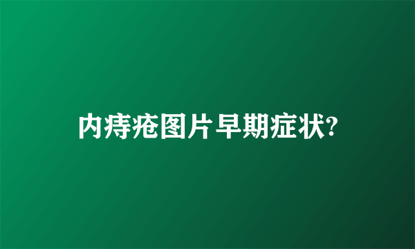 内痔疮图片早期症状?