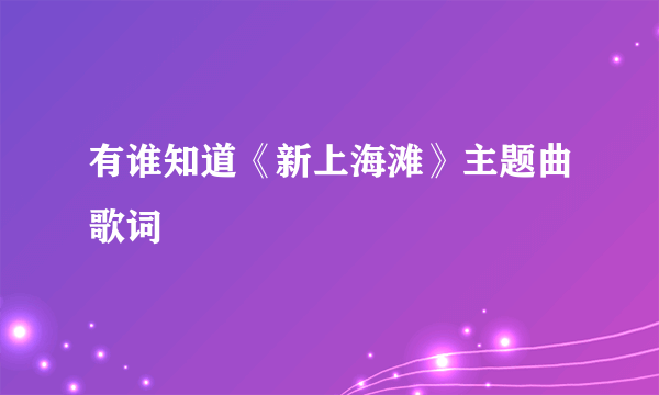 有谁知道《新上海滩》主题曲歌词