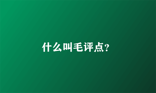 什么叫毛评点？