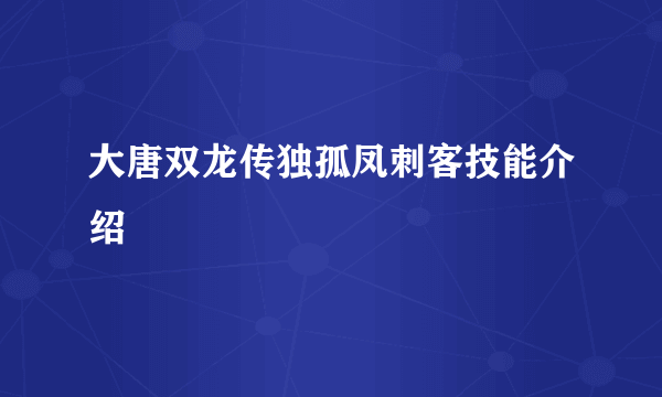 大唐双龙传独孤凤刺客技能介绍