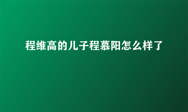 程维高的儿子程慕阳怎么样了