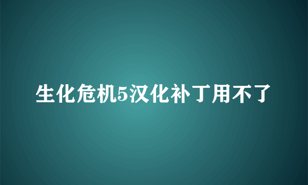 生化危机5汉化补丁用不了